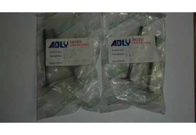 ventil usisa/ispuha Adly 150