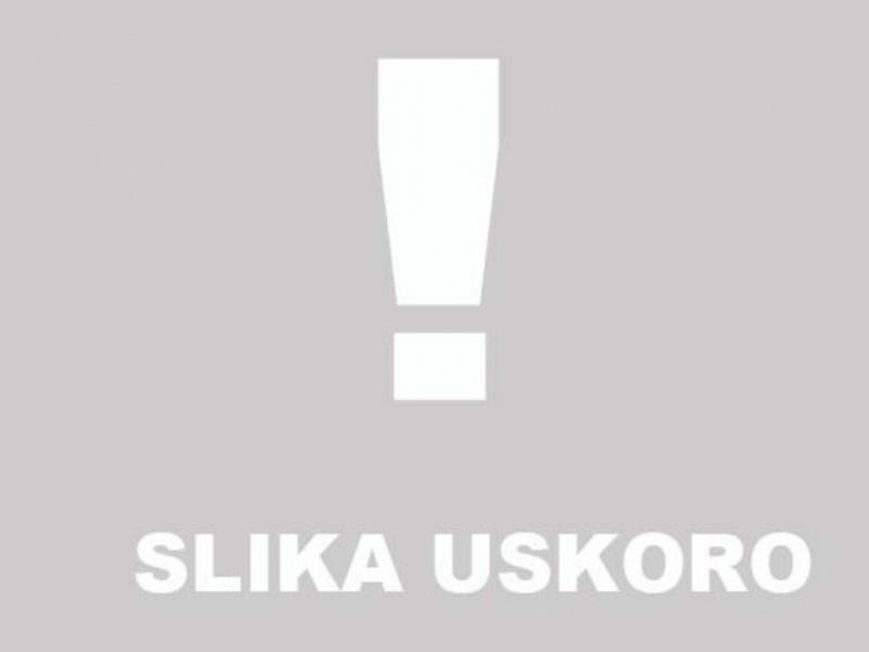 Amortizer prednji  MAD MAX 250