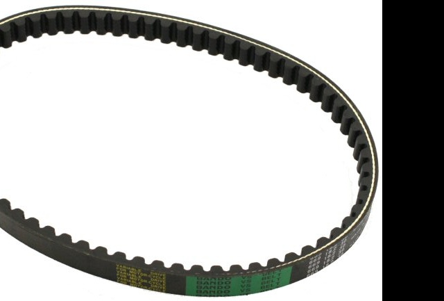 remen variomata Linhai 200